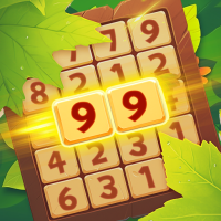 Number Game: Wood Block Puzzle