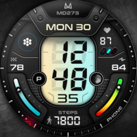 MD273 - Digital watch face
