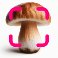 Mushromizer